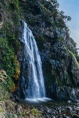 Obraz premium Cascading Beauty of Azorean Waters: Scenic Waterfall Flowing Down Lush Green Cliffs in Sao Jorge, Azores, Portugal. Natural Wonder and Tranquil Landscape