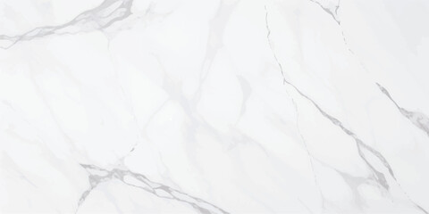 Obraz premium Premium White and Gray Marble with Fluid Veins, Ideal for Luxury Backgrounds, Bathroom Designs, and Artistic Wall Covers