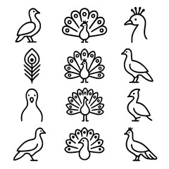 peacock icon set