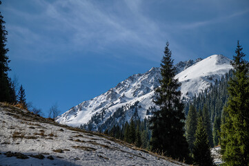 snow covered mountains
