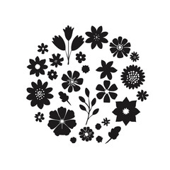 Floral design element set,flower design set vector illustration