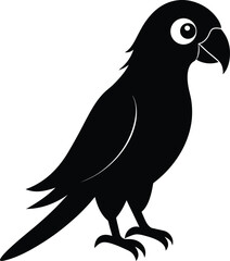 Fototapeta premium black and white parrot bird
