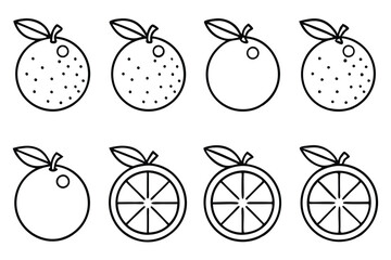 Orange Fruit Drawing Collection