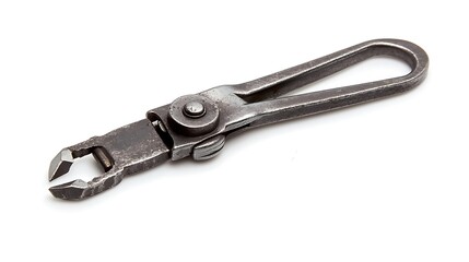 Obraz premium Antique Metal Wire Cutter Tool.