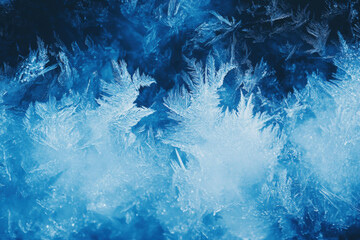 Blue frost envelops a serene winter landscape. Snow-covered trees glisten under the icy touch, creating a captivating wintery scene.