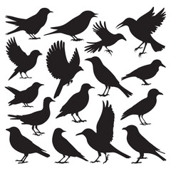 Fototapeta premium Flying Bird Silhouette Design Vector, 
