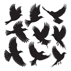Fototapeta premium Flying Bird Silhouette Design Vector, 
