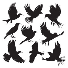 Flying Bird Silhouette Design Vector, 