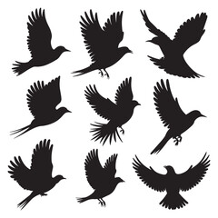 Fototapeta premium Flying Bird Silhouette Design Vector, 