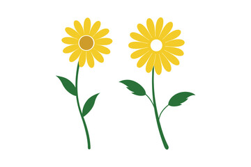 Fototapeta premium Chamomile flower Silhouette vector bundle 