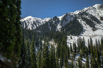 mount rainier national park
