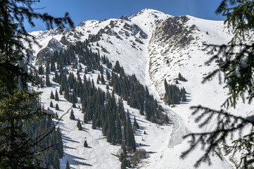 snow covered mountains
