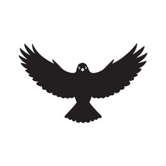 Obraz premium eagle in the sky