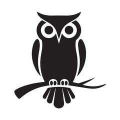 owl on white background