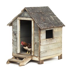 Rustic hen house with chicken inside.