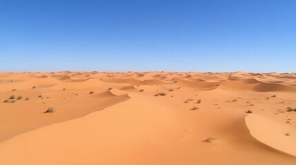 Fototapeta na wymiar Vast expanse of orange desert dunes under a clear blue sky. Dunes stretch endlessly into horizon. Sparse vegetation scattered across the landscape