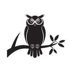 owl sitting on branch