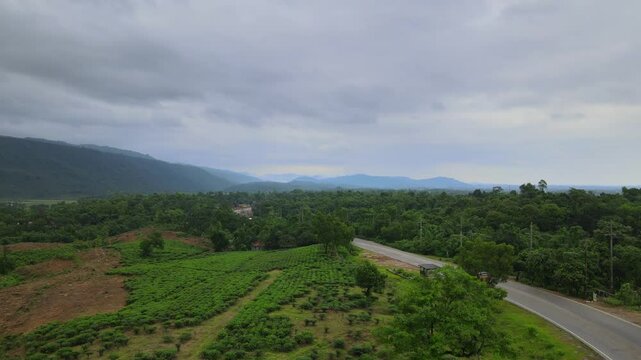 Scenic 4K drone footage of lush green tea estate landscape in Jaflong, Sylhet, Bangladesh