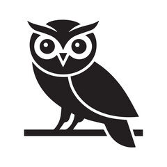 owl on a white background