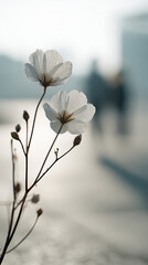 Wildflowers with blurred people in background – cinematic emotional concept series
