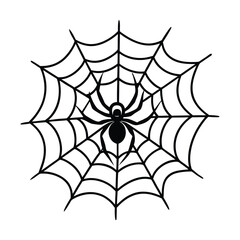 Obraz premium Webspinner