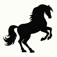 black horse vector illustration