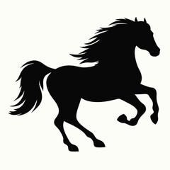 horse silhouette isolated on white