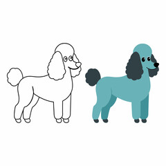 Cute cartoon poodle vector illustration with outline and colored version