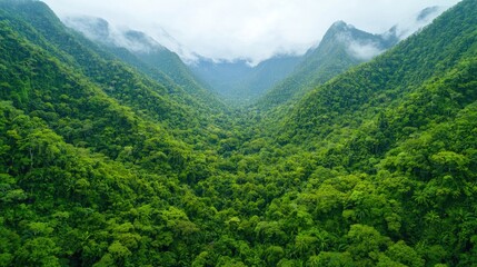 Obraz premium Lush green valley aerial view nature scene