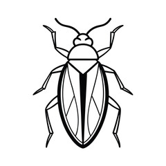 Jewel Beetle