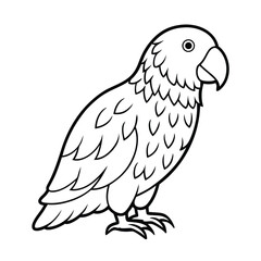 Kakapo