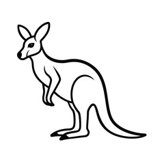 Kangaroo
