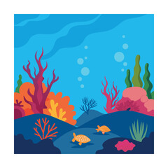 natural light on coral reef