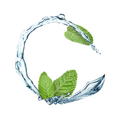 Mint leaves and splashes of water in air on white background