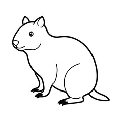 Fototapeta premium quokka