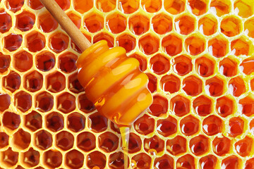Honey dripping from dipper near filled honeycomb, closeup