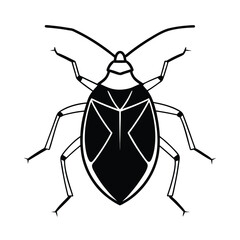 Stink Bug