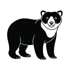 Spectacled Bear