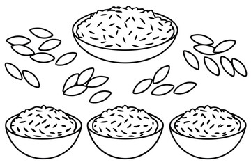 Assorted Rice Grains Displayed on White