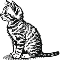 Hand-Drawn Illustration of a Cute Sitting Striped Cat in Profile View