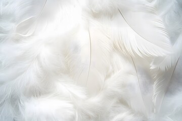 Obraz premium Close-up of soft, white feathers creating a delicate and textured background, ideal for conveying purity, lightness, and elegance