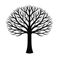 Obraz premium hazel tree silhouette isolated on white