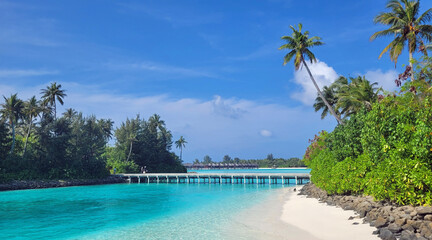 exotic tropical island on the maldives