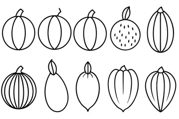 Stages of Crop Ripening on White Background
