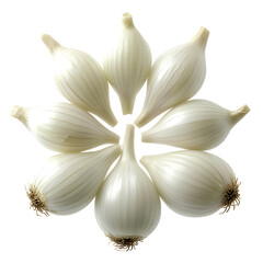Nine small peeled white onions arranged in a circular floral-like pattern against a stark white background.