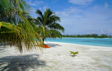 exotic tropical island on the maldives