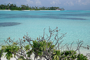 exotic tropical island on the maldives