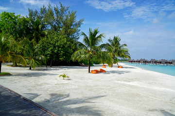 exotic tropical island on the maldives