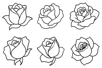 Realistic Rose Petals for Romantic Designs