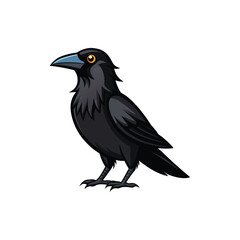 crow on a white background